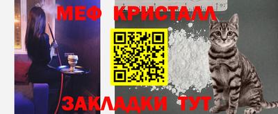 шишки Кандалакша