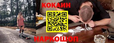 шишки Кандалакша