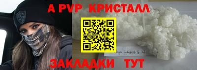 шишки Кандалакша