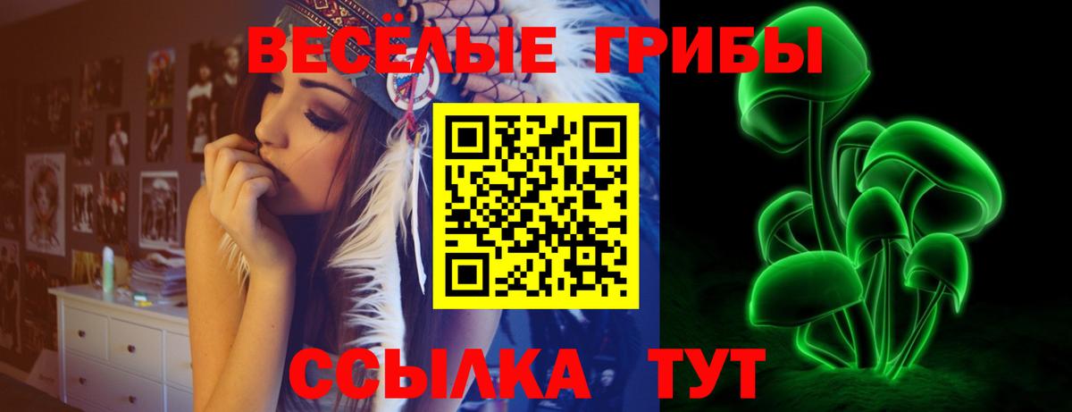Галлюциногенные грибы Psilocybine cubensis  Вход с VPN  Великие Луки 